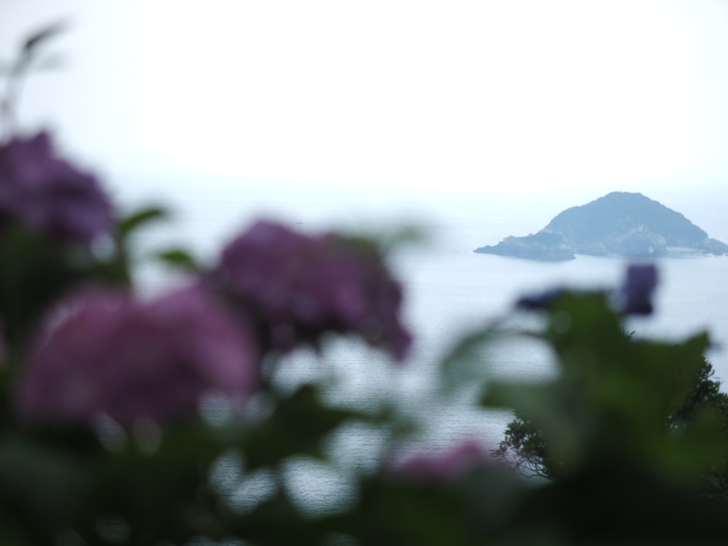 246104CA-128D-4D4E-AD9A-F7304C2FA0F9