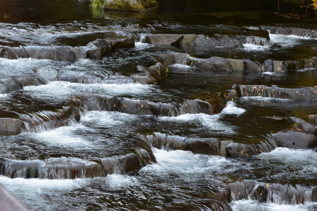 箱根湯本 天成園さんの横を流れる川