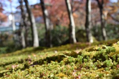 箱根美術館