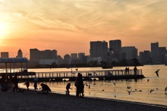 お台場海浜公園