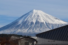 雪化粧の富士
