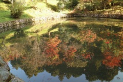 紅葉狩り