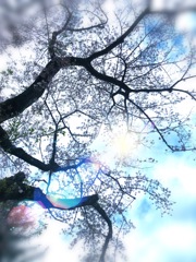 DF4B3593-5BE0-4E2E-BC6E-34163B7A929C