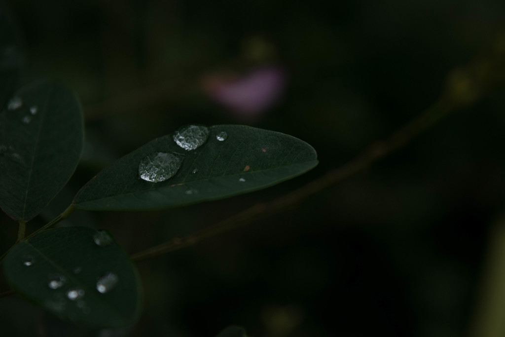 静寂