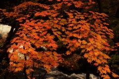 2016.10.29.nagano3