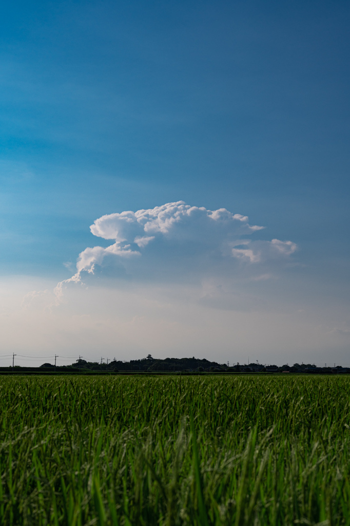 8月1日の空