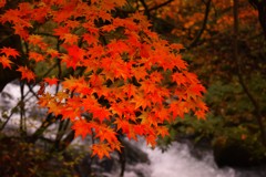 2016.10.29.nagano2