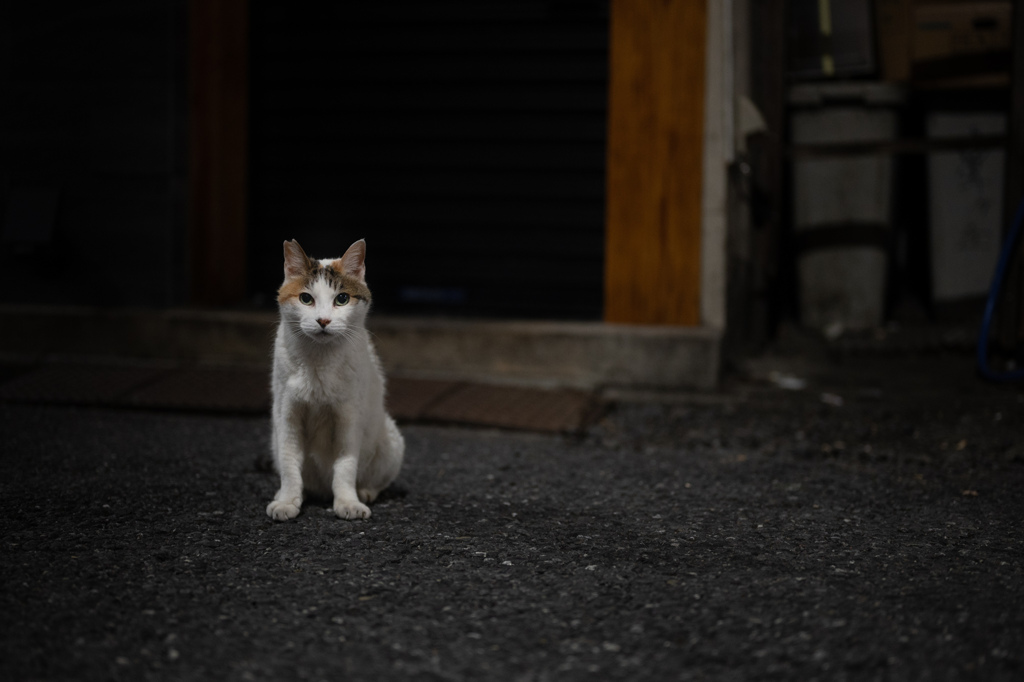 寝入る街での出会い