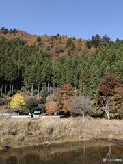 山　寺