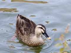 ねぇ、お兄さん〜