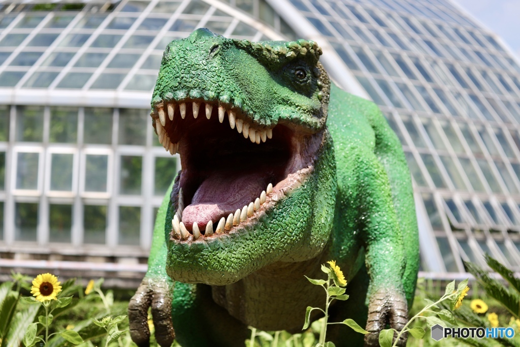 ティラノサウルス　２