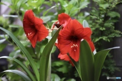 こんにちは　３