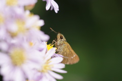 美味しいね １４