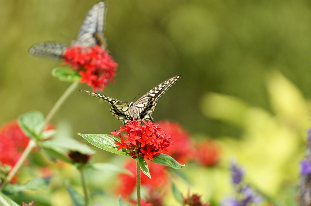 美味しいね １２