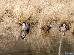 ちょっと気になる