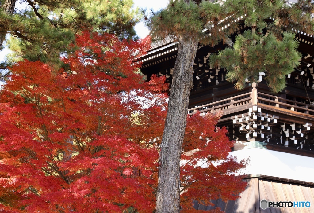 鐘　楼
