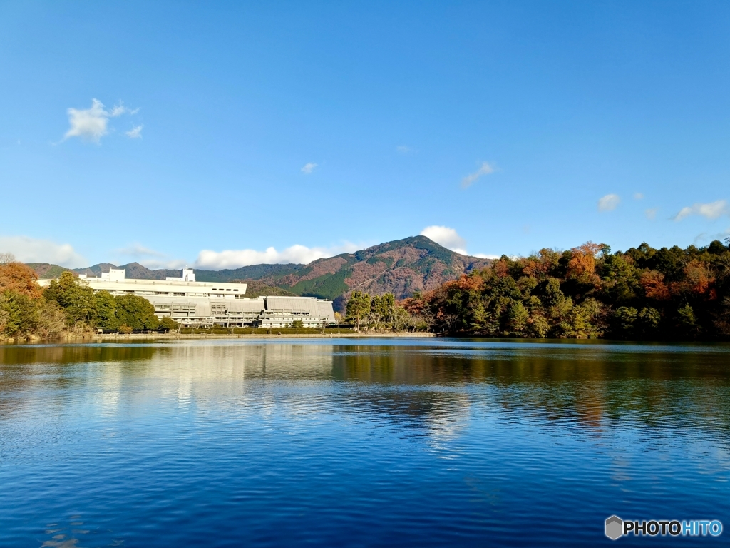 ウォーキングコース