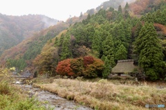 山里の秋