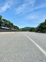 轍