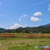 嵯峨野の秋　３