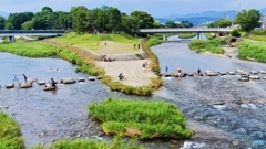 鴨川夏景色