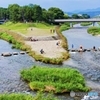 鴨川夏景色