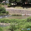 夏休み