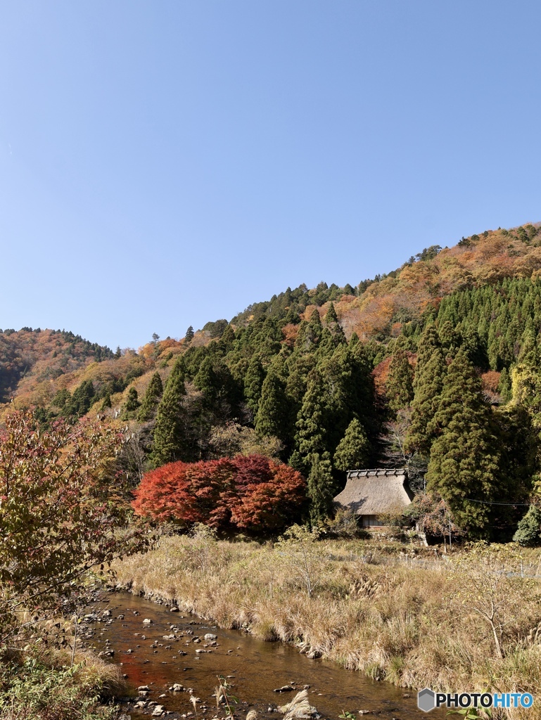 山里の秋