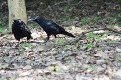 デートしよう〜