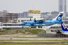 空飛ぶイルカ