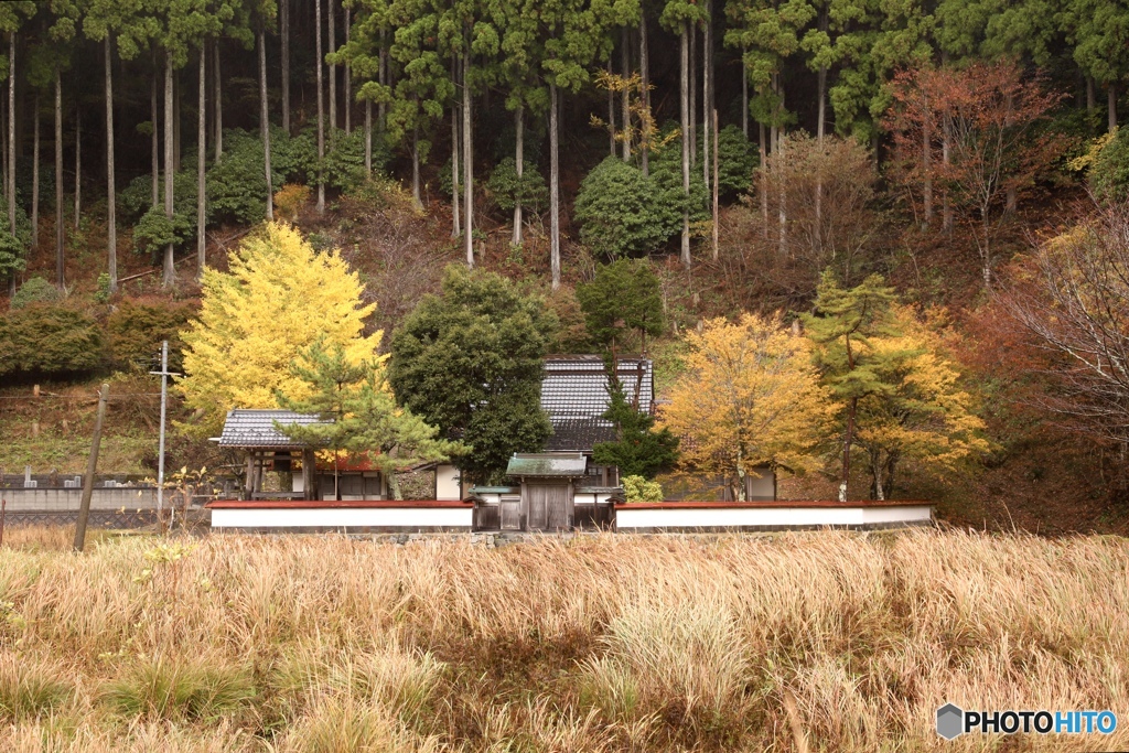 山　寺