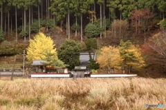 山　寺