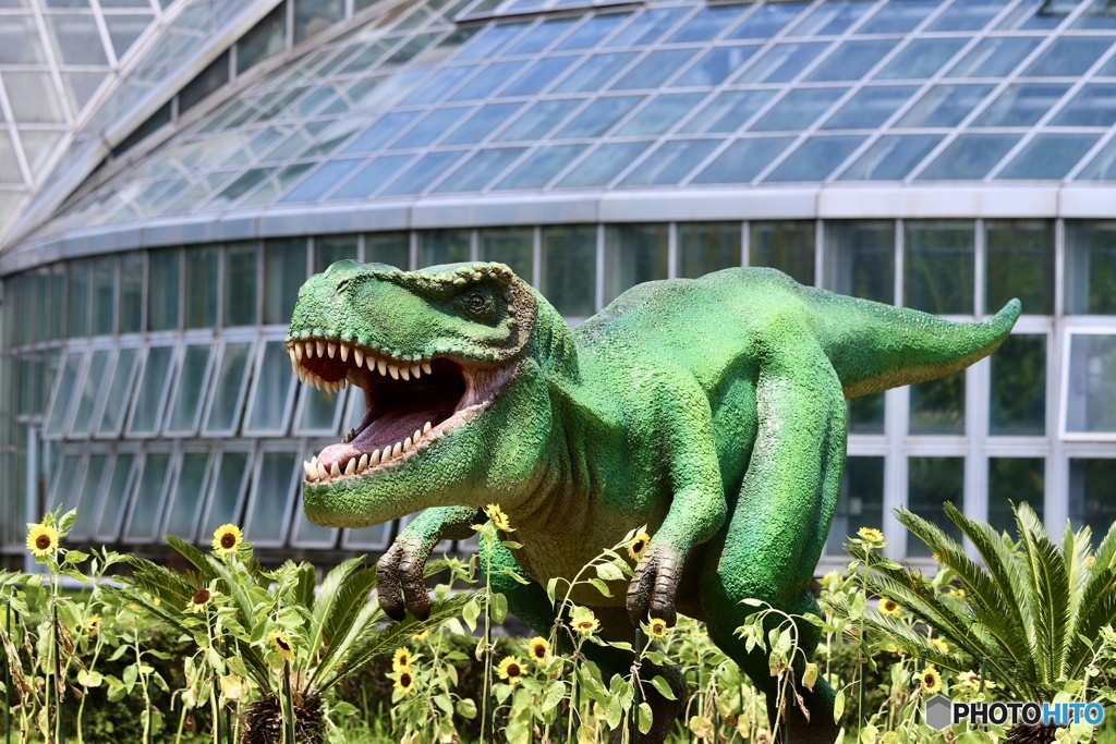 ティラノサウルス