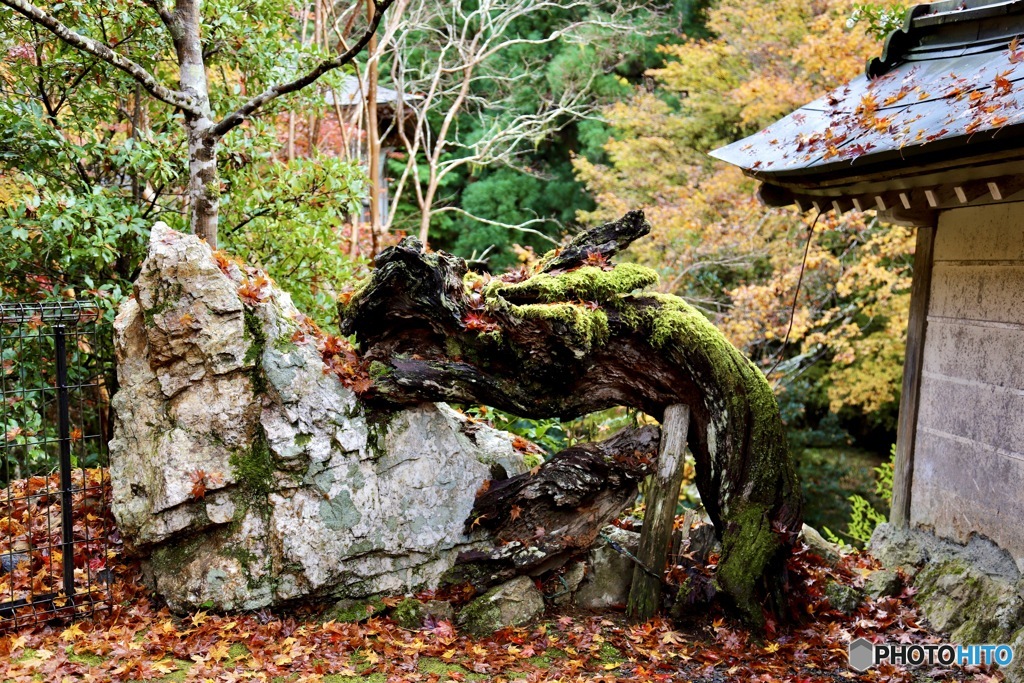 京北の山寺　５