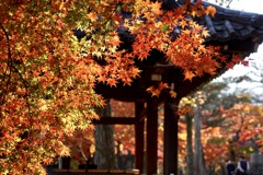 紅葉　２