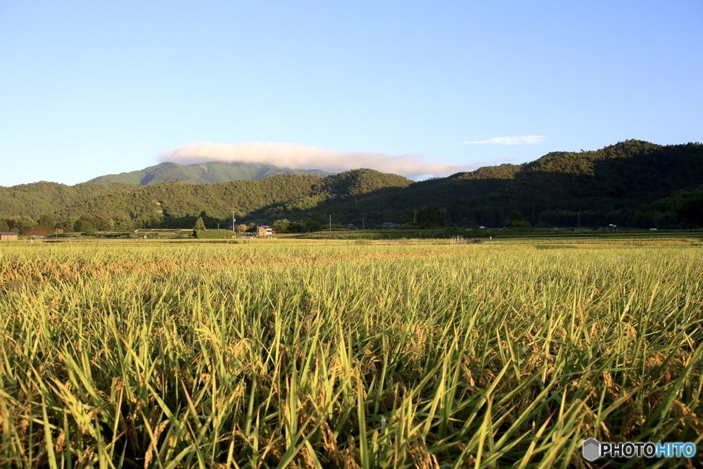 嵯峨野の秋