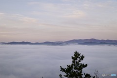 雲海