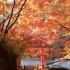 紅葉鳥居