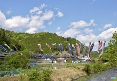 山里の鯉のぼり