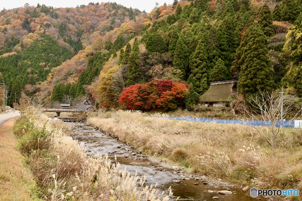 山里の秋