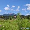 嵯峨野の秋４