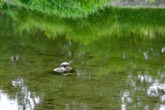 お気に入りの場所