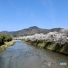 比叡山と桜　２