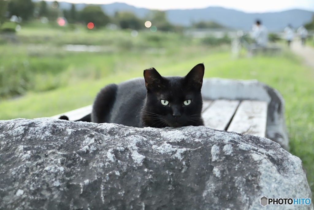 夕映えを待ってたら