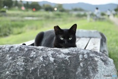 夕映えを待ってたら