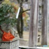 手水舎