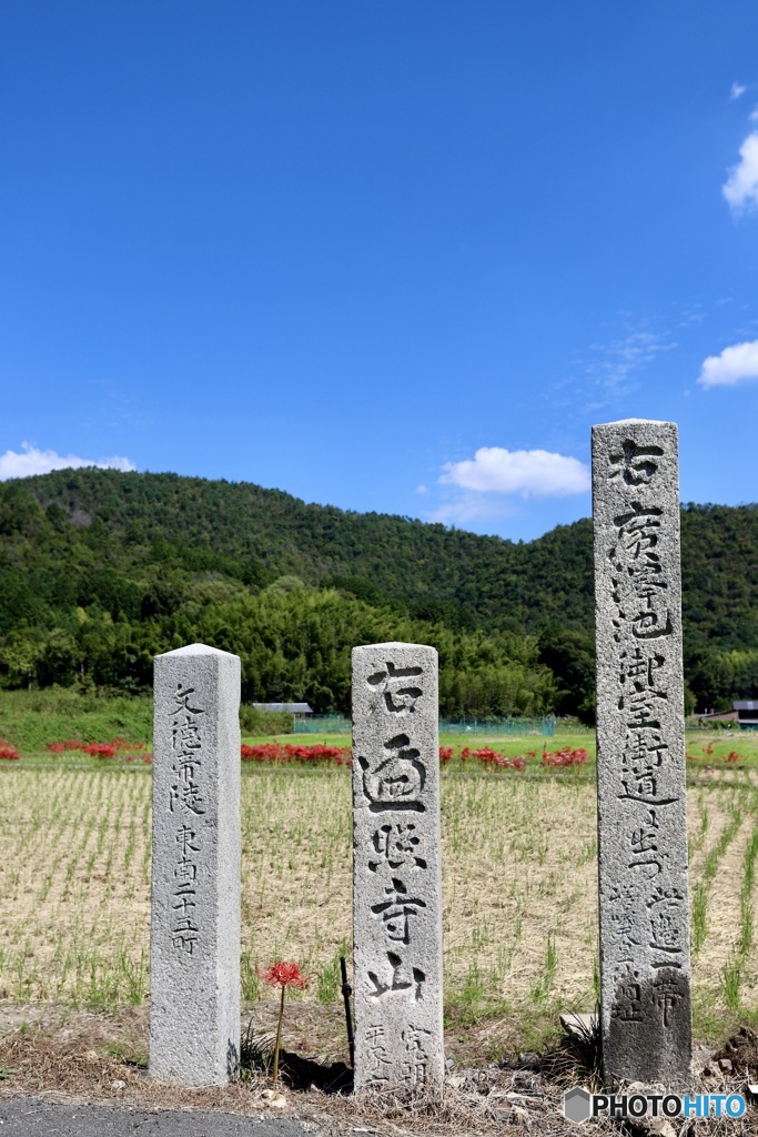 嵯峨野の秋　５