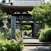あじさい寺