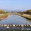 鴨川秋景色