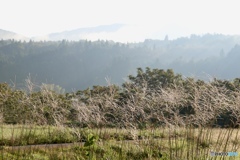 山里の秋